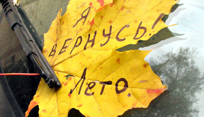 Бабине літо прийшло: яка погода буде на вихідних