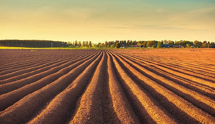 Рассчитайте время посева: важные советы по посадке овощных культур под зиму