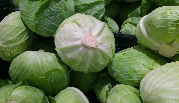 У харчовій плівці та пергаментному папері: способи довгого зберігання капусти в домашніх умовах