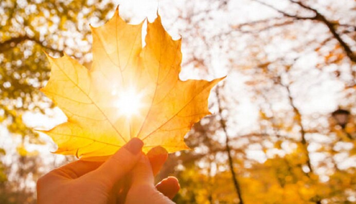 До нас вривається майже літо: погода здивує у вихідні