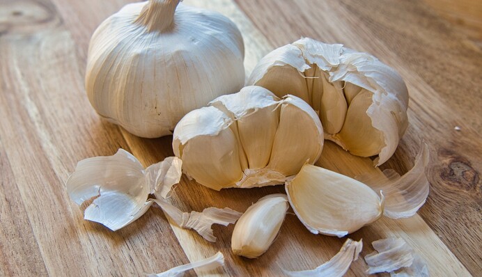 Из-за теплой погоды озимый чеснок взошел до морозов: что делать в таком случае