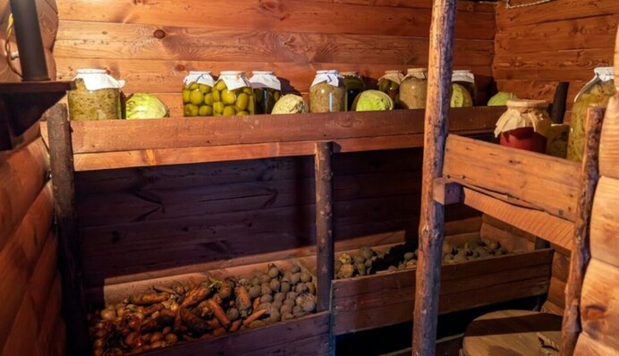 Как защитить урожай овощей от гниения в сыром погребе: так делают опытные хозяева