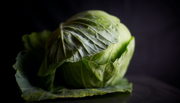 Найкраща заготовка для голубців: як приготувати квашені капустяні листки на зиму