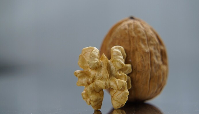 Як зберігати волоські горіхи, щоб вони не відсиріли і не засохли: найкращі способи