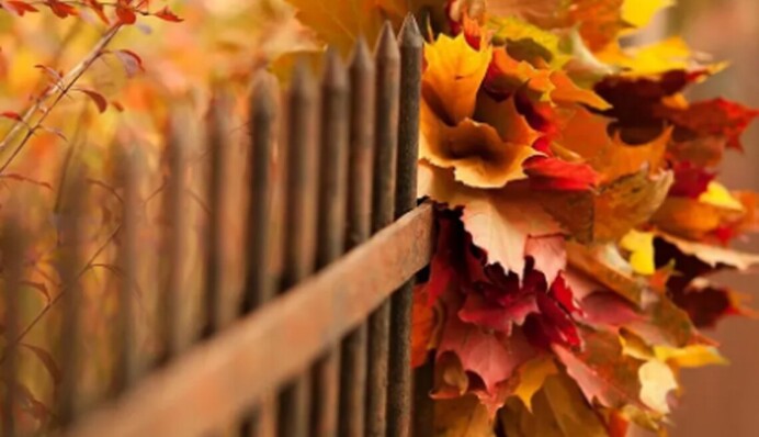 Октябрь градус бережет: какая погода ожидается на выходных