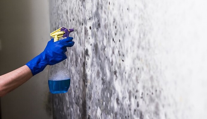 Плесень в доме опасна: как избавиться от нее с помощью уксуса и других народных средств