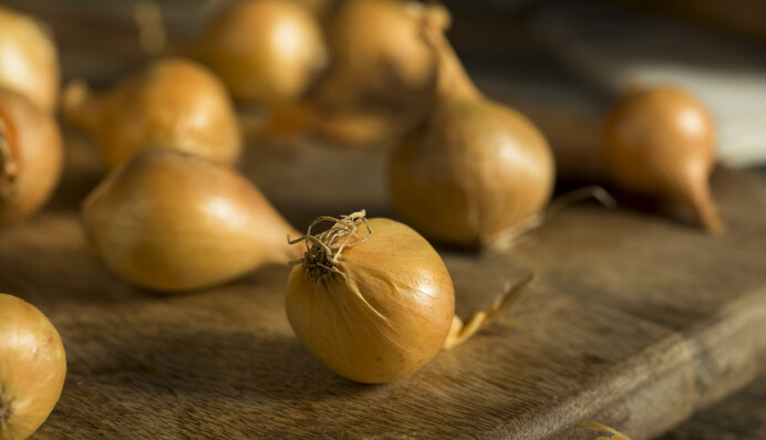 На яку глибину садити цибулю на зиму: практичні поради для кращого врожаю