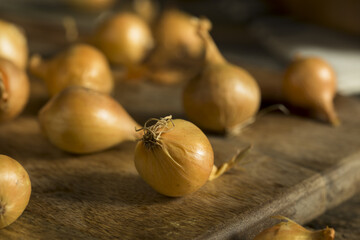 На яку глибину садити цибулю на зиму: практичні поради для кращого врожаю