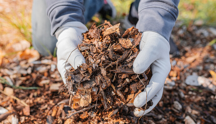 Чем можно мульчировать грядки на зиму: лучшие материалы для цветов и озимых культур