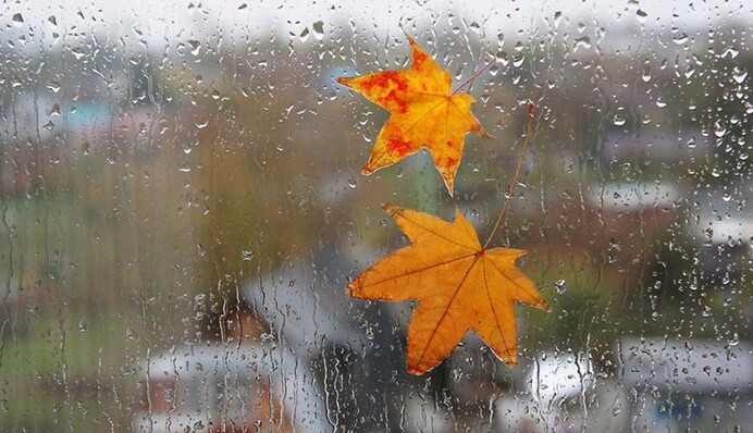 Суровая осень: какая погода будет на выходных
