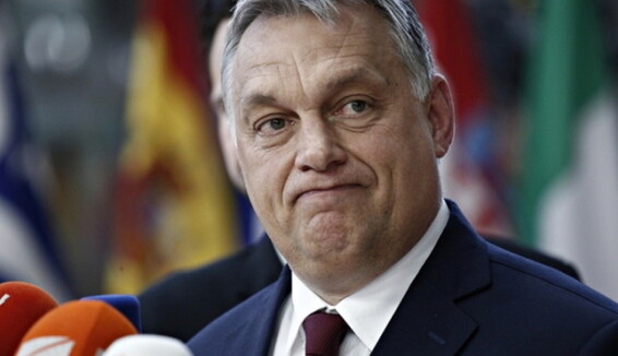 Угорський капкан: яка 