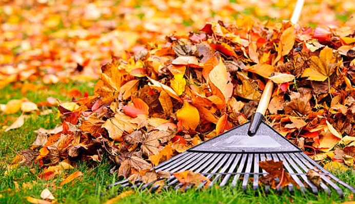 Як підготувати газон до зими: якщо снігу не буде – потрібно вносити мульчу