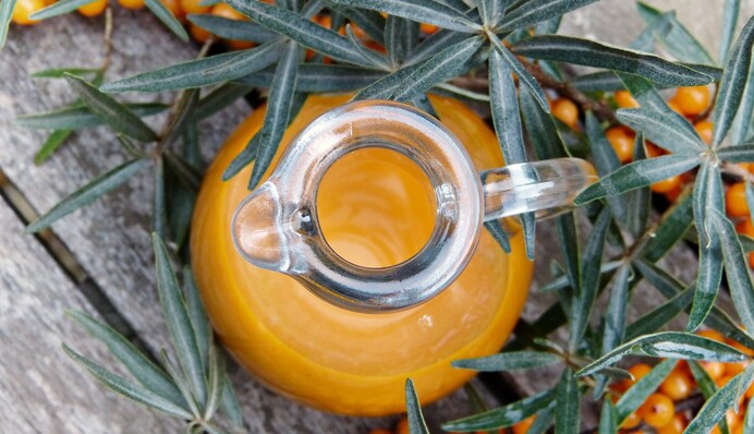 Как сделать заготовки для витаминного облепихового чая на зиму: простые способы