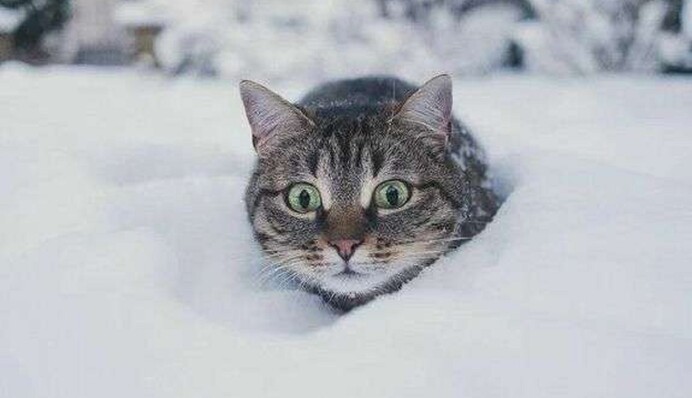 Завалит снегом: в Украину идет сказочная погода