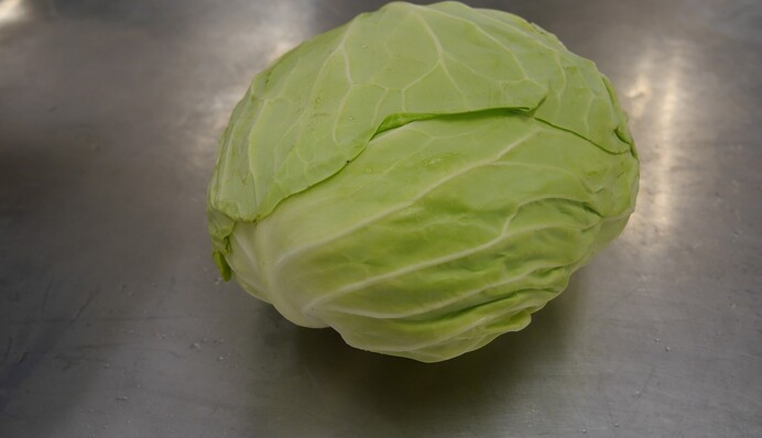 Как уберечь капусту от гниения: опытные огородники повторяют эту обработку каждый месяц