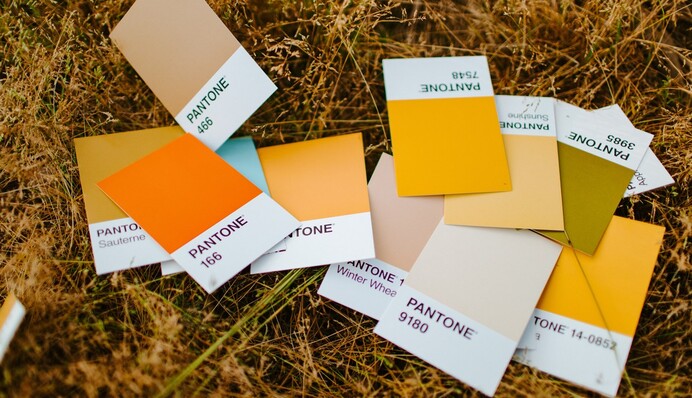 Теплый и уютный: институт Pantone назвал главный цвет 2024 года