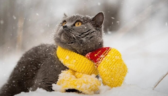 В Україну йде м'яка зима: на яку погоду чекати