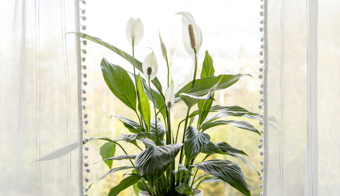 Что делать с 