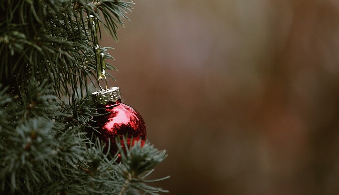 Как вынести елку из квартиры и не засорить все вокруг сухими иголками