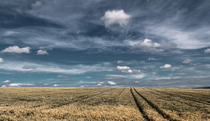 Новий етап земельної реформи в Україні: чого бояться фермери