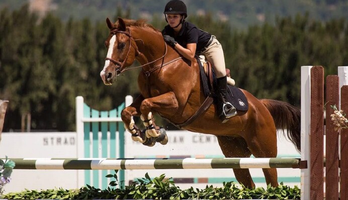 Скандал в федерації кінного спорту: Михайло Пархомчук привласнив благодійну допомогу під час війни
