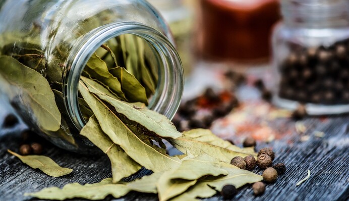 Зачем подкармливать комнатные растения лавровым листом: не все знают о его пользе