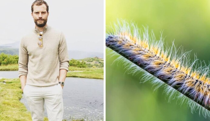 Пощастило вижити: зірка 