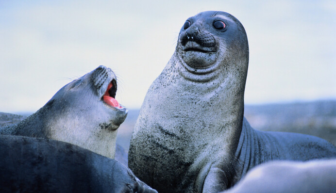 З ними краще не жартувати: які знаки Зодіаку мають найгірше почуття гумору