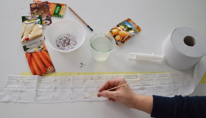 Спосіб посадки насіння на стрічці, який значно заощадить городникам час навесні