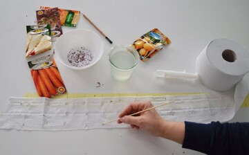 Способ посадки семян на ленте, который значительно сэкономит огородникам время весной