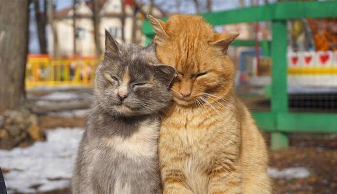 Втомилися від зими? В Україну вривається тепла весна