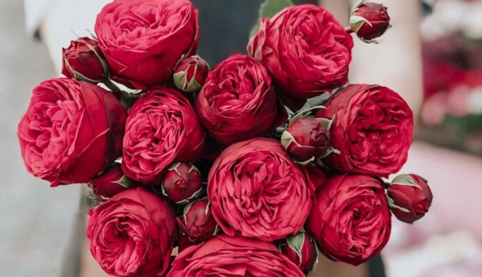 Как часто менять воду в вазе, чтобы букет стоял дольше: важные советы