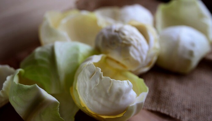 Как приготовить капусту для голубцов в микроволновке: хозяйки оценили этот метод