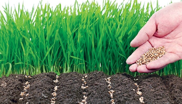 Назустріч посівній: яка погода чекає на Україну в березні