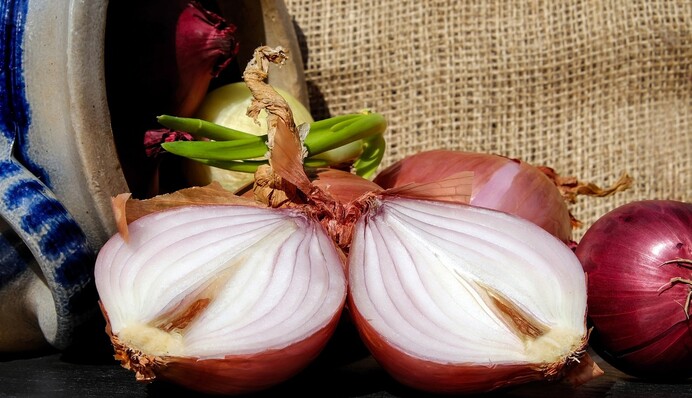 Що робити з цибулею, яка проросла: практичні способи застосування