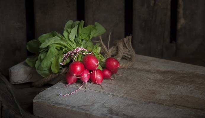Что делать с редиской после появления всходов, чтобы получить сочные и крупные корнеплоды