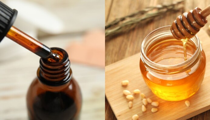 Йод і мед: натуральні інгредієнти допоможуть зміцнити розсаду помідорів