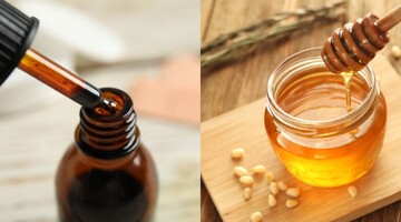 Йод и мед: натуральные ингредиенты помогут укрепить рассаду помидоров