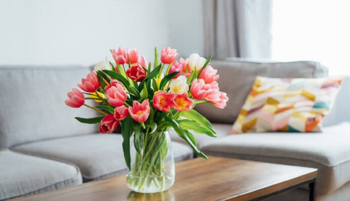 Секрети квітникарів: як зберегти свіжість букету тюльпанів у вазі