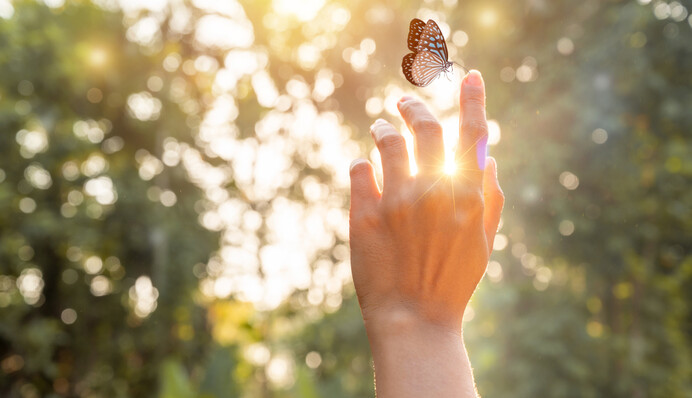Дела улучшатся: астрологи назвали три знака Зодиака, которым повезет до конца апреля