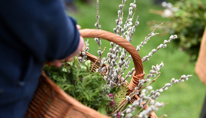 В Вербное воскресенье святят вербу: что нужно знать о главной традиции праздника