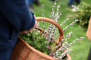 В Вербное воскресенье святят вербу: что нужно знать о главной традиции праздника