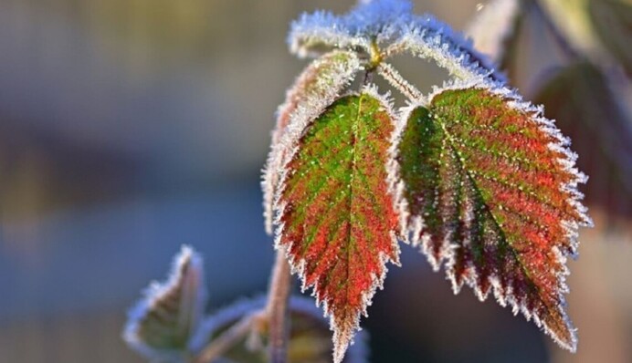 Українці зачекалися тепла, але з Росії суне неприємний сюрприз