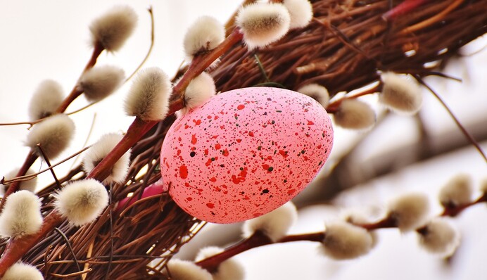 Что нельзя делать в Вербное воскресенье: главные запреты большого праздника