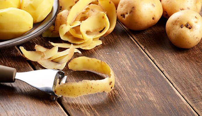 Картофельная шелуха – прекрасное удобрение для смородины: как и когда его использовать