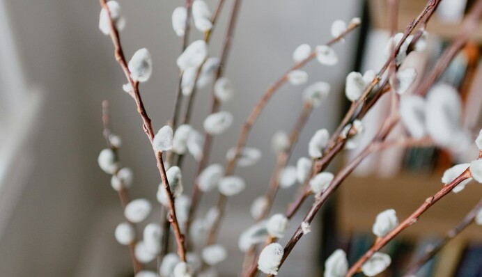 С Вербным воскресеньем: красивые и душевные поздравления с праздником своими словами