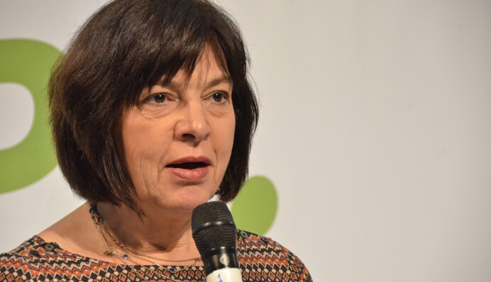 Пророссийские партии могут легко выиграть выборы в Европарламент - Ребекка Хармс