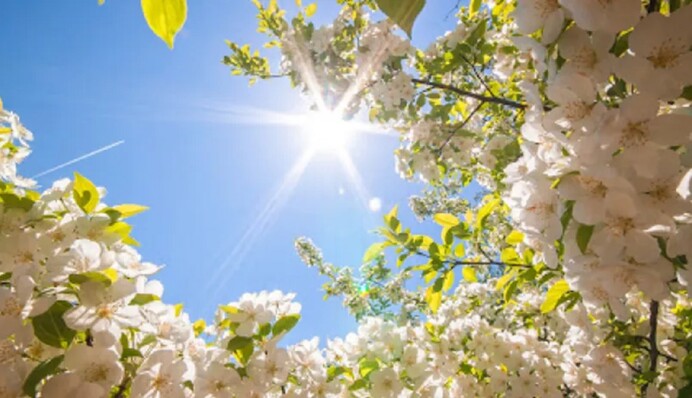 Аномальный май: какая погода будет в последний месяц весны