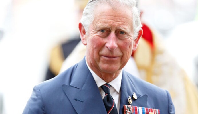 З мечем у руці та метеликом на плечі: Букінгемський палац показав офіційний портрет Чарльза III
