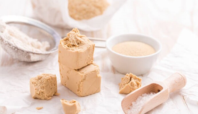 Подкармливают перед началом цветения: как сделать удобрение из дрожжей для помидоров